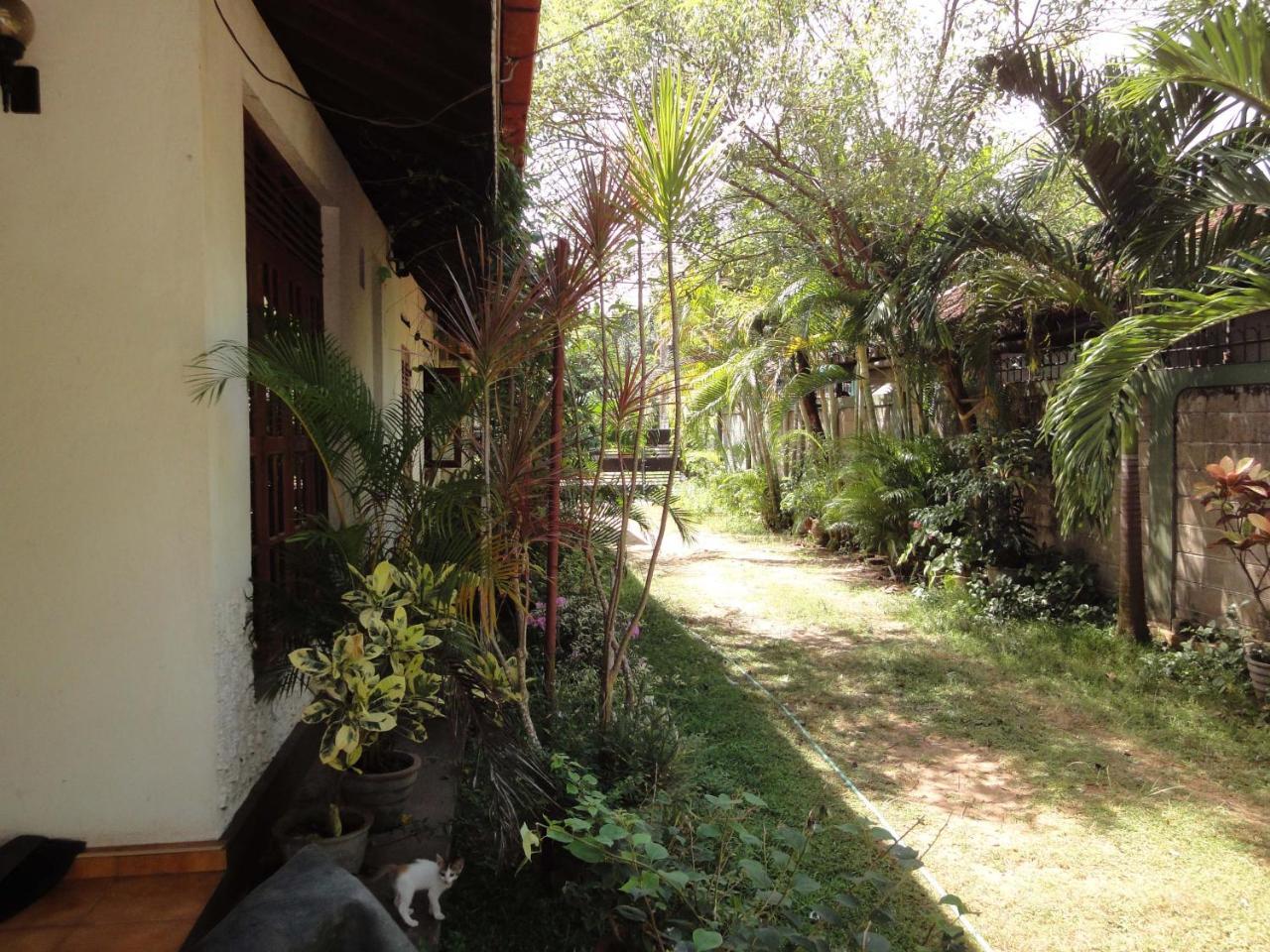 Lidwins Inn 15 Minutes To The Airport Negombo Zewnętrze zdjęcie
