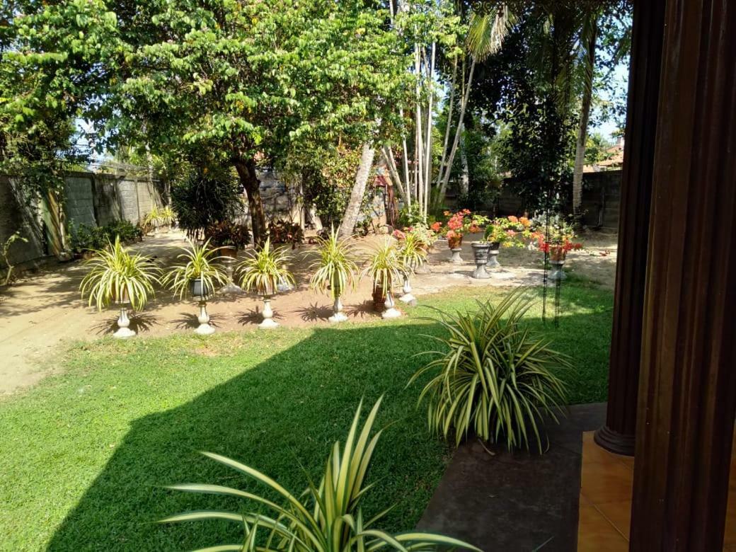 Lidwins Inn 15 Minutes To The Airport Negombo Zewnętrze zdjęcie